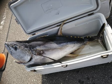 康仁丸・ジギング釣り果